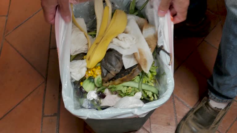 Best Junk Removal for Events  in Negaunee, MI
